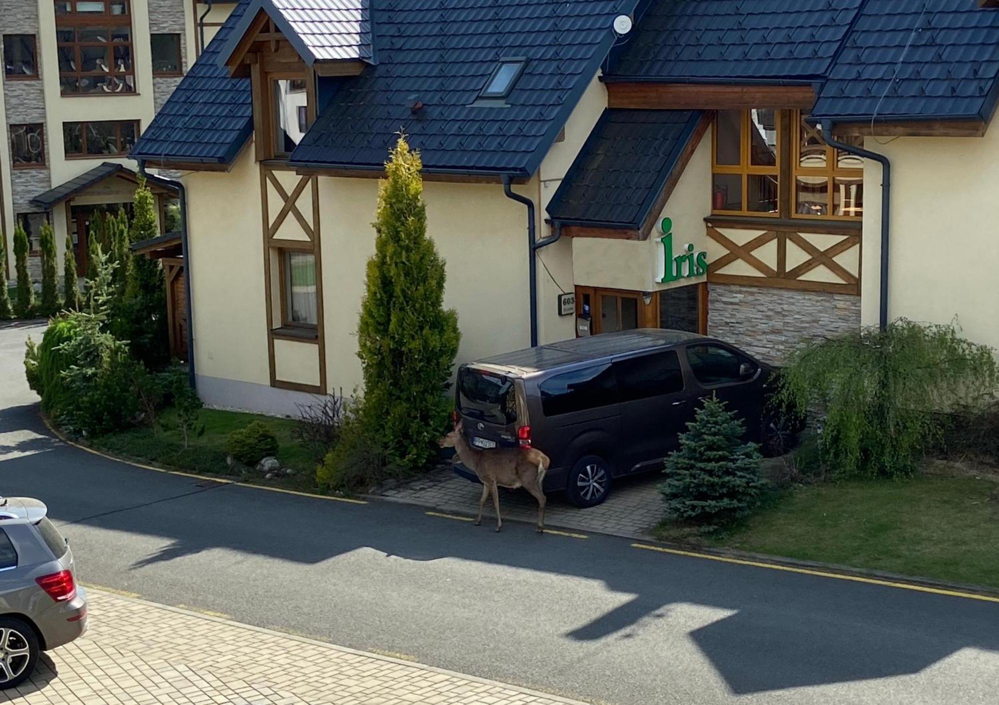 Apartments Iris Stará Lesná 外观 照片
